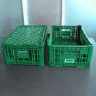 صندوق تخزين بلاستيك أخضر 600 × 400 × 220 سم لخضروات الفاكهة